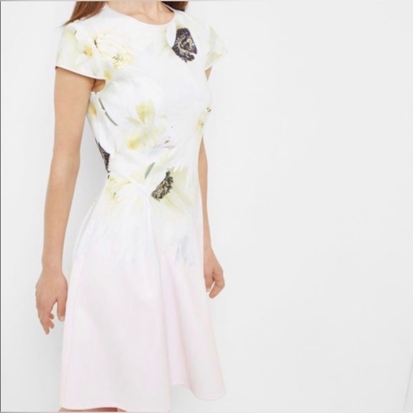 Ted Baker Petala Floral Printed Skater Dress Size 1/US4 - Picture 1 of 10
